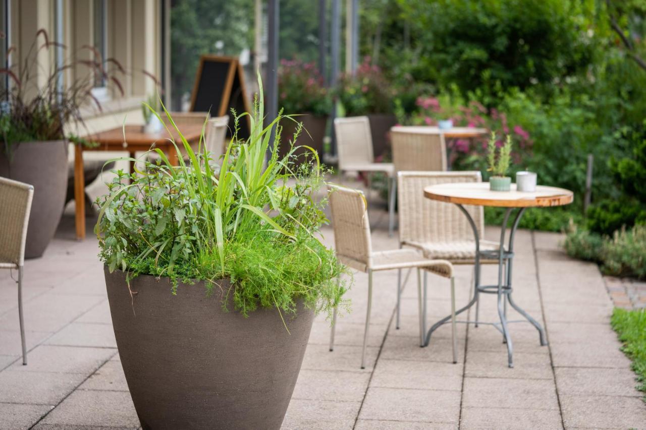 Vegan Health Hotel Sonnenberg Glutenfrei Schwellbrunn ภายนอก รูปภาพ